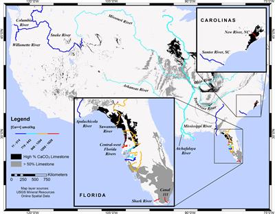 Riverine Calcium End-Members Improve Coastal Saturation State Calculations and Reveal Regionally Variable Calcification Potential